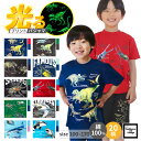 【クーポン利用で2点よりどり3999円!!】パジャマ キッズ 半袖 男 男の子 短パン 綿100 半袖パジャマ 子供 夏 ジュニア 恐竜 忍者 カブトムシ クワガタ 昆虫 シャチ サメ 海の生き物 かわいい ティラノサウルス 蓄光 キッズ パジャマ 100 110 120 130 140 150 160 170