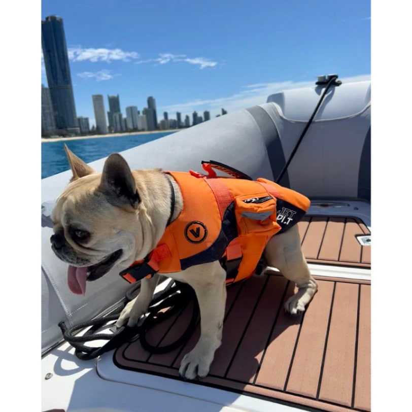 ベンチャー ドッグ PFD オレンジ 犬用ライフジャケット メーカー：JETPILOT