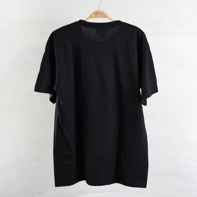 【日本限定】アイコニック TEE ブラック レッド JJP26630 JETPILOT ジェットパイロット 2