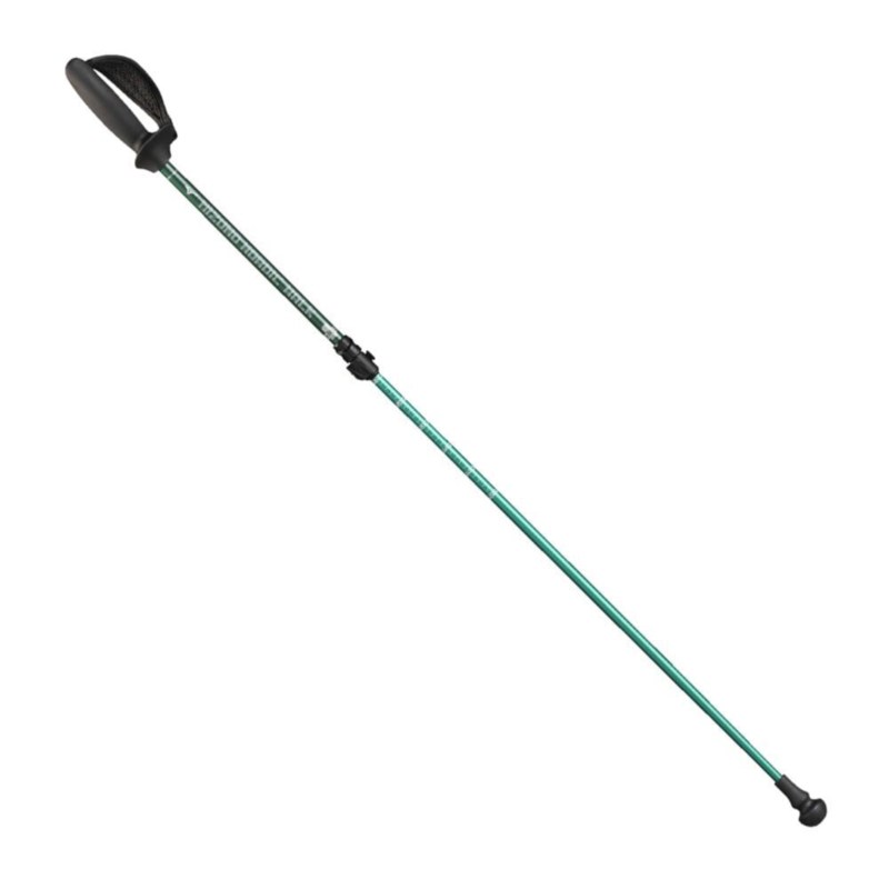 MIZUNO ミズノ ウォーキングポール ソフトホールドStd(ショートタイプ／2本1組) グリーン ウォーキング ウォーキングポール