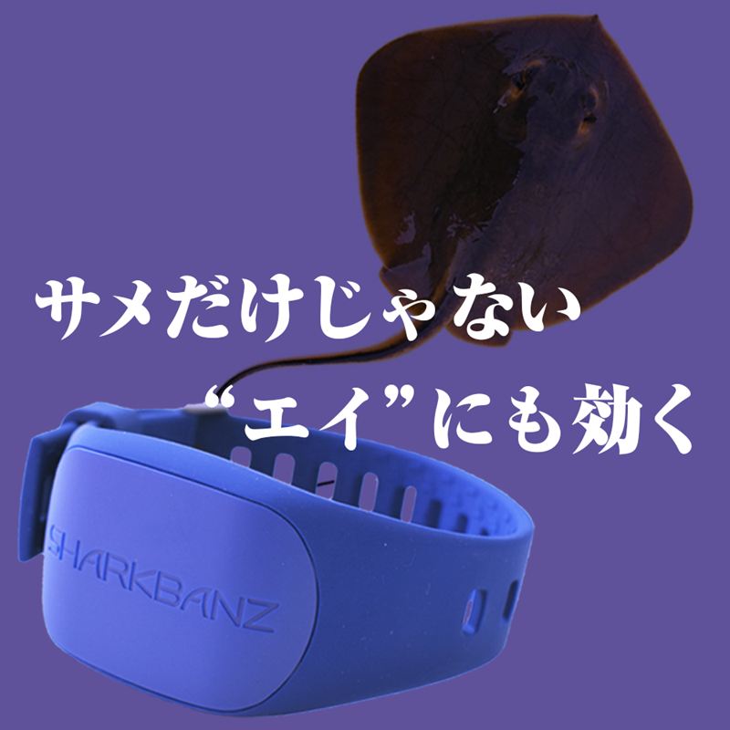 サンプル画像3