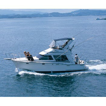 REGAR�ʥꥬ���� �����ѡ��إӡ��ޤ���� ������ݥ��åȥ��å�7.0m �ܡ������� �ե��å�������