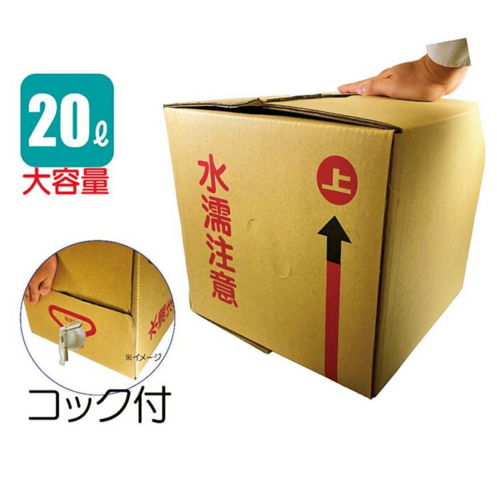 ���ӥȥ�󥸥㡼 ���������ξ����� 20L �ܡ��ȥ��ƥʥ�����