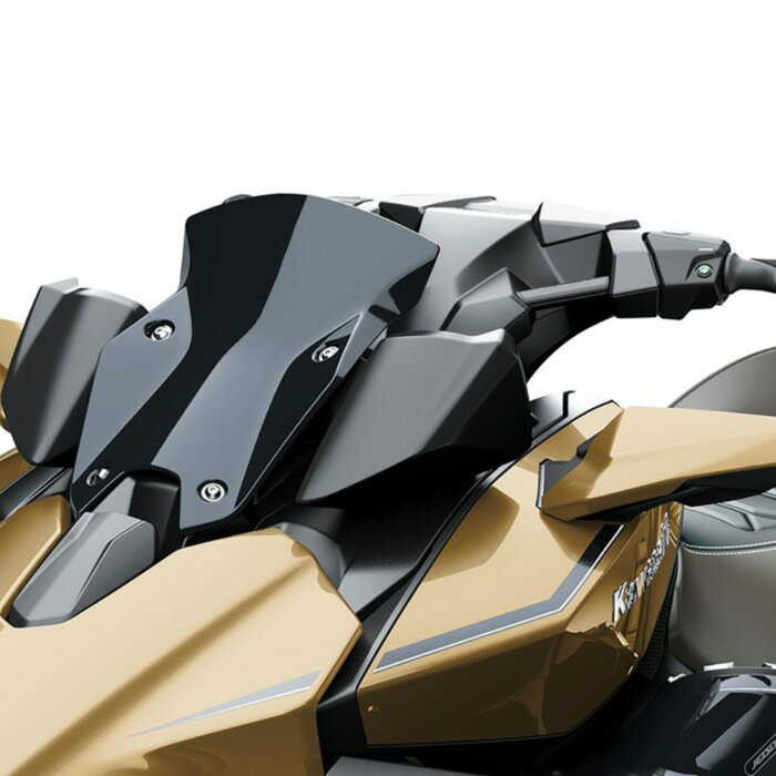 KAWASAKI ���掠�� METER VISOR PWC ���Х������� �������������꡼