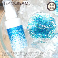 スチームクリーム【公式】母の日 ギフト アイスミントジェル&ミスト セット 日本製 保湿クリーム 全身 ボディークリーム ボディミスト ミストスプレー コスメ 化粧品 ハッカ ひんやり 冷たい クール 冷感 プレゼント 誕生日