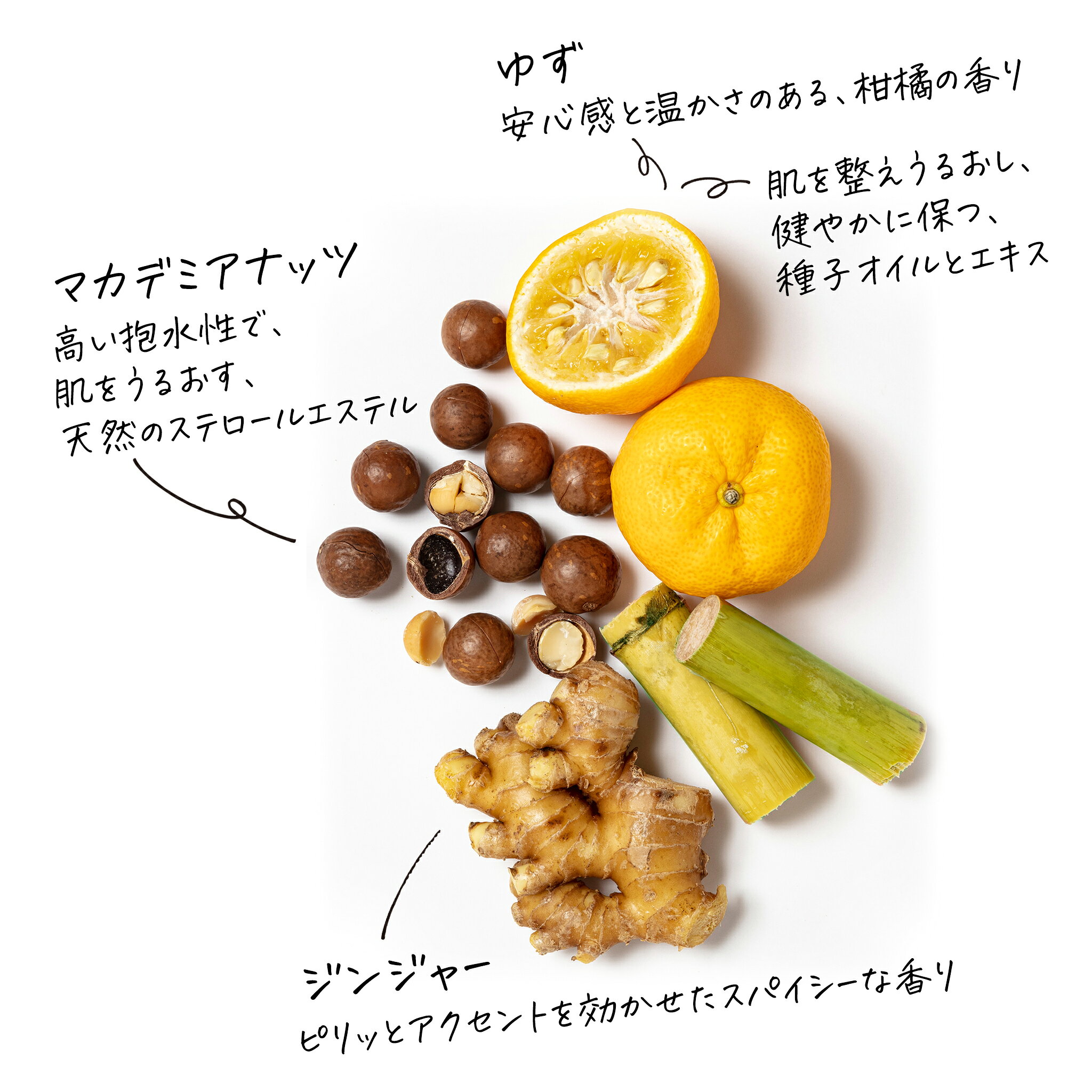 スチームクリーム【公式】ハンドクリーム ポンプ 大容量 ゆず＆ジンジャー ボトル 300g 日本製 ハンドケア 保湿クリーム コスメ 全身 顔 ボディークリーム フェイスクリーム お得 プレゼント ギフト 誕生日 送別 steamcream-10000552 スチームクリーム公式 楽天市場店 サンプル画像3