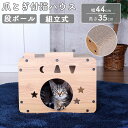 キャットハウス 爪とぎ 爪研ぎ つめとぎ 爪やすり 爪みがき ハウス ボックス ベッド 段ボール 猫 ストレス解消 運動不足解消 おしゃれ シンプル 猫ハウス 猫ベッド 猫の家 隠れ家 秘密基地 組立式 組み立て式 省スペース 通気性 小窓付き 覗き窓 送料無料 AFCH-13(4)