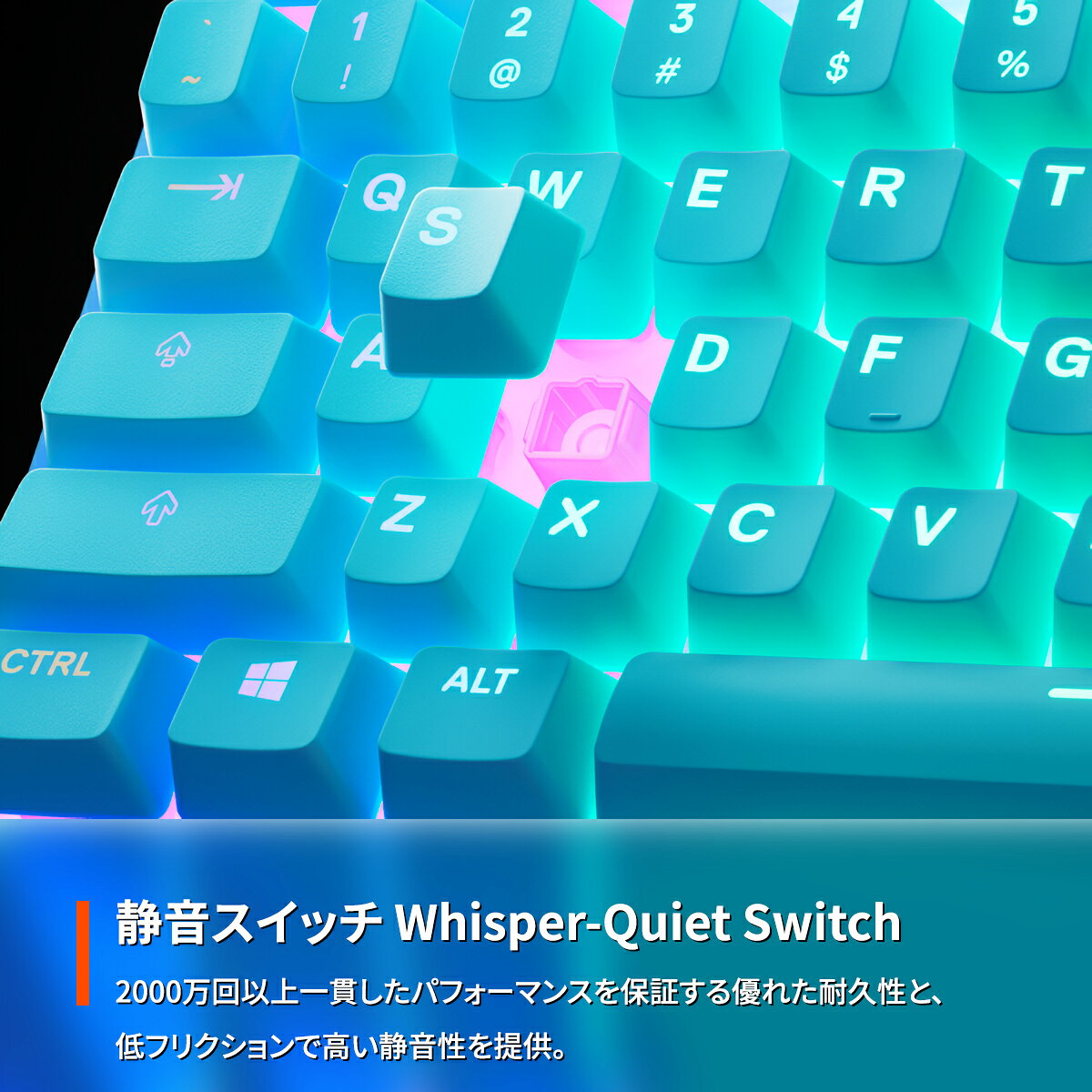 Apex 3 TKL サムネイル3