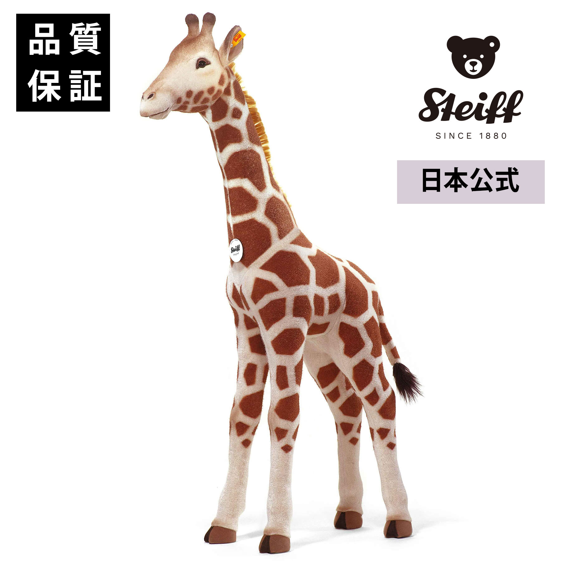 �ڥ��奿���ո����ۥ�������������� �ץ쥼��� big �礭�� �̤������ ����ƥꥢ ��� ������� ���ե� £��ʪ �л� �ˤ� ������ ���ꥹ�ޥ� ���ꥹ��...