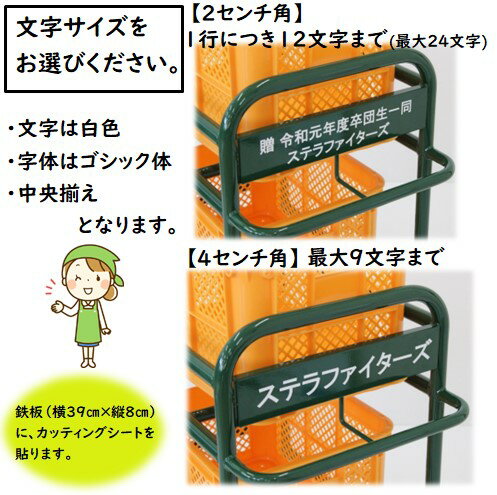 ボール キャリー 野球 名入れ ネーム入れ 野球ボールカート キャリーワゴン ボールカート 野球 コンテナカート コンテナキャリー ボール入れ 台車 2段 ソフトボール グラウンド用品 キャスター付き 卒団記念品 野球 プレゼント ボールキャリア ワゴン 移動式 国産 頑丈 99799通販格安セール情報 楽天 通販