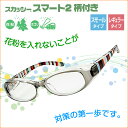 ◆ 花粉 メガネ ◆ スカッシー スマート2 柄付き ☆ 花...