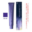 ホーユー プロマスター ピグメント SV-6P サファイアバイオレット 80g 医薬部外品