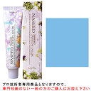 ナプラ ナシードファッションカラー<ファッションシェード> アッシュ 80g 医薬部外品