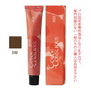 ナンバースリー カラーコンシャス ファッションライン ウォームブラウン 3W 80g (第1剤) 医薬部外品