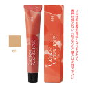 ナンバースリー カラーコンシャス ファッションライン ベージュ 8B 80g (第1剤) 医薬部外品