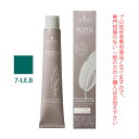 シュワルツコフ テラ by エッセンシティ リーフブラウン 7-LE.B 85g (第1剤) 医薬部外品