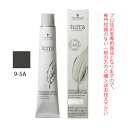 シュワルツコフ テラ by エッセンシティ サンド 9-SA 85g (第1剤) 医薬部外品