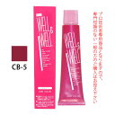 ティアーズ WELL&WELL ウェル&ウェル スピーディーヘアカラー CB-5 120g(第1剤) 医薬部外品(4)
