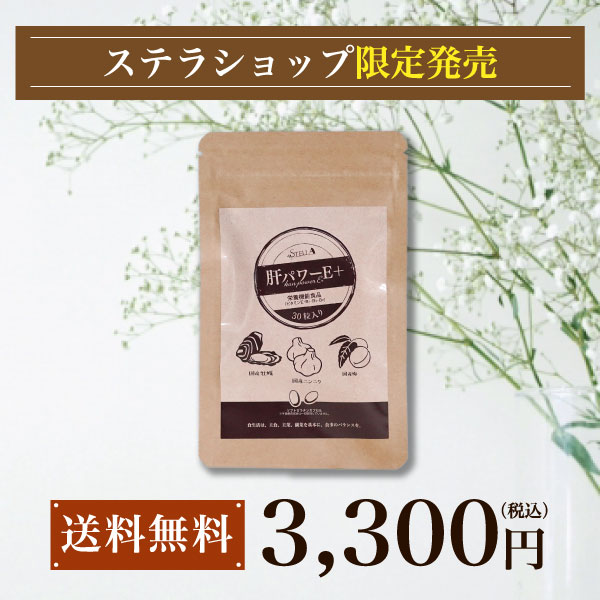 にんにく サプリ 送料無料 牡蠣 梅 国産 亜鉛 クエン酸 ステラ漢方公式【 肝パワーEプラス 1袋 30粒入り】【ステラショップ楽天市場 専売品 】サプリメント 健康食品 ギフト 父の日 男性 女性 30代 40代 50代 60代