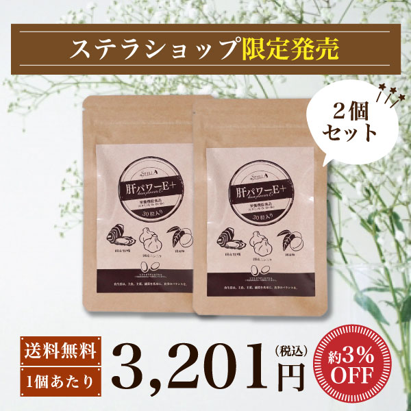 ギフト にんにく ニンニク サプリ 送料無料 牡蠣 梅 国産 亜鉛 クエン酸 ●ステラ漢方公式●【 肝パワーEプラス 2袋】 …