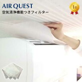 【未発売】エアークエスト38AQ1-01-0238cm×80cm2枚入り家庭用エアコンフィルター