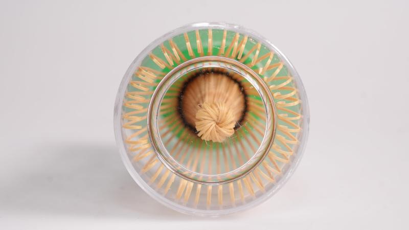山本竹細工屋 （YAMAMOTOTAKIZAYIKUYA) 日本製 茶道具 ミニ茶筅 (茶せん) 白竹 野点