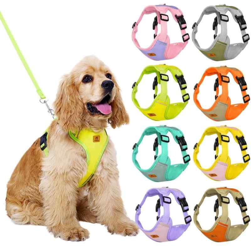 犬用ハーネス, 調節可能なメッシュベスト, 8色展開, 軽量で快適な散歩用ギアデザイン: メッシュ素材を使用した通気性の高いベスト型ハーネスで、8種類の鮮やかなカラーバリエーションをご用意調節機能: 複数の調節ポイントで体型にぴったりフィット、成長に合わせて長くご使用可能安全設計: 強化された留め具と反射素材を採用し、夜間の散歩でも安心な視認性を確保着脱簡単: バックルタイプの留め具で素早く装着可能、愛犬の負担を軽減する設計快適仕様: 軽量で柔らかい素材を使用し、愛犬の動きを妨げることなく快適な散歩を実現