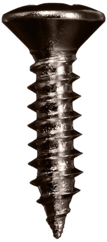 SCUD ピックガードネジ、ミリサイズ、12P コスモブラック TS-01CKH stellarshop-10238690 stellarshop サンプル画像2