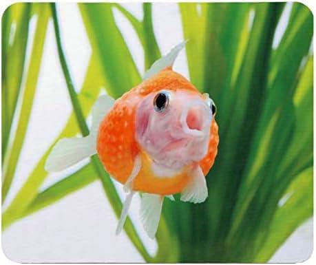 可愛いピンポンパールのマウスパッド：フォトパッド（ 金魚シリーズ ）