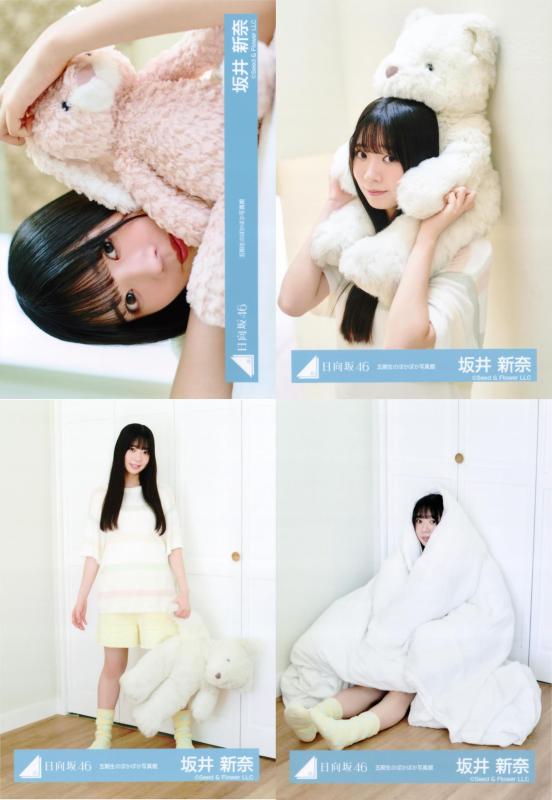 日向坂46 生写真 五期生のぽかぽか写真館 4種コンプ 坂井新奈