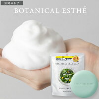 洗顔石鹸 洗顔 日本製 BOTANICAL ESTHE ボタニカルエステ 石けん 酵素 酵素洗顔 毛穴 黒ずみ 固形 洗顔料 固形石鹸 オーガニック ボタニカル 成分 メンズ レディース クレイ 泥 保湿 AHA 80g 単品