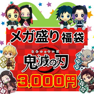 鬼滅の刃 福袋 福箱 2023 プレゼント 初売り 竈門炭治郎 竈門禰豆子 我妻善逸 嘴平伊之助 煉獄杏寿郎 冨岡義勇 胡蝶しのぶ 伊黒小芭内キャラクター グッズ 雑貨