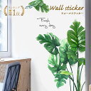 【楽天1位】ウォールステッカー 植物 おしゃれ 北欧 ステッカー 観葉植物 壁紙 ポスター シール 壁紙シール DIY 葉っぱ 木 インテリア カフェ風 飾り ...