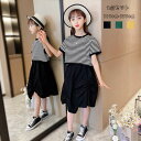 韓国子供服 女の子 セットアップ 夏服 レジャー 上下 キッズ半袖 Tシャツ+スカート 2点セット 可愛い ストライプ柄トップス 上下セット 子ども セットアップ お出かけ 姉妹 旅行 ブラック グリーン イエロー 110 120 130 140 150 160 170 誕生日 結婚式 呼ばれ おしゃれ