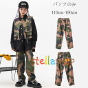 ダンス衣装 男女兼用 ダンスパンツ 迷彩パンツ hiphop K-pop 舞台 団体服 女の子 男の子 迷彩 ボトムス 長ズボン 演出服 応援団 キッズダンス ダンスウェア ヒップホップ 迷彩柄 ダンスパンツ カジュアル 普段着も楽ちん 110 120 130 140 150 160 170 180(4)