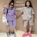 韓国子供服 女の子 セットアップ グレー パープル ジャージ 夏着 レジャー ラペル 上下セット キッズ 半袖Tシャツ+ショートパンツ 2点セット 普段着 通園着 通学着 子ども服 ガールズ パンツセット セットアップ 夏服 新作 旅行 お出かけ 120 130 140 150 160 170