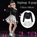 キッズ ダンス衣装 女の子 おしゃれ セットアップ 長袖 Tシャツ へそ出し トップス シルバー スカート チアガール衣装 hiphop K-pop 舞台 団体服 演出服 ガールズ ラムショー 公演服 運動会 躍動感いっぱい 練習着 子供ダンス 文化祭 学園祭 応援団 クラス活動 110-180