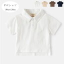 韓国子供服 男の子 ポロシャツ 夏着 かっこいい Tシャツ キッズ ボーイズ ポロシャツ ホワイト ページュ ブラウン ネイビー 兄弟 双子 幼児 無地 tシャ...