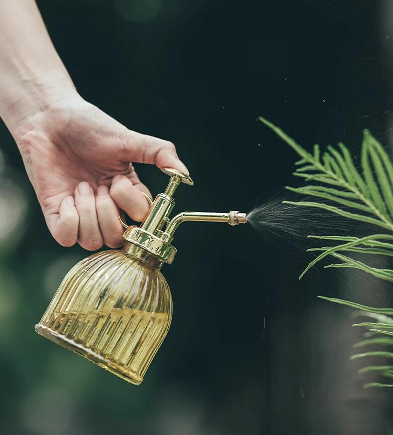 送料無料 観葉植物 霧吹き おしゃれ スプレー ミスト ガラス 高級感 じょうろ 水差し 園芸用霧吹き 園芸用品 持ち運びやすい ガーデニング 鉢植え 水やり 散水用品 散水 屋外室内庭園 ガラス製 便利 使いやすい 家庭用 2