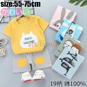 子供パジャマ キッズ ジュニア 上下セット 19柄 綿100% パジャマ 半袖 半袖パジャマ 子供服 子供 男の子 女の子 ボーイズ ガールズ ベビー 55cm...