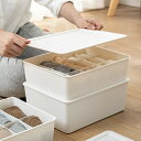 蓋付下着収納ボックス ホワイト フタ仕切り 引出し収納 整頓ボックス 下着 衣類 ランジェリー 収納 仕切 アンダーウェア ブラジャー 靴下 ネクタイ チェスト ダンス 引出し 引き出し ボックス ケース 収納 せいとん