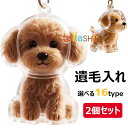 【6%OFFクーポン配布中!】2個セット ペット 遺毛 ケース 透明 16タイプ ペット 遺毛入れ 犬の毛収納ボトル ペットメモリアルボトル 犬のキーホルダー ...