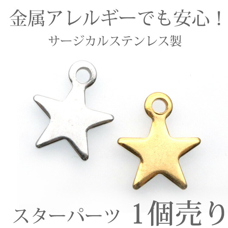 アクセサリーパーツ スターパーツ 星 チャーム イヤリング金具 ハンドメイド 手芸 ...