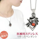 【店内3点以上で20%OFFクーポン】金属アレルギー対応 ステンレスペンダント ドラゴンハートwithレッドジェムペンダントトップ ステンレスネックレス 安心 ...