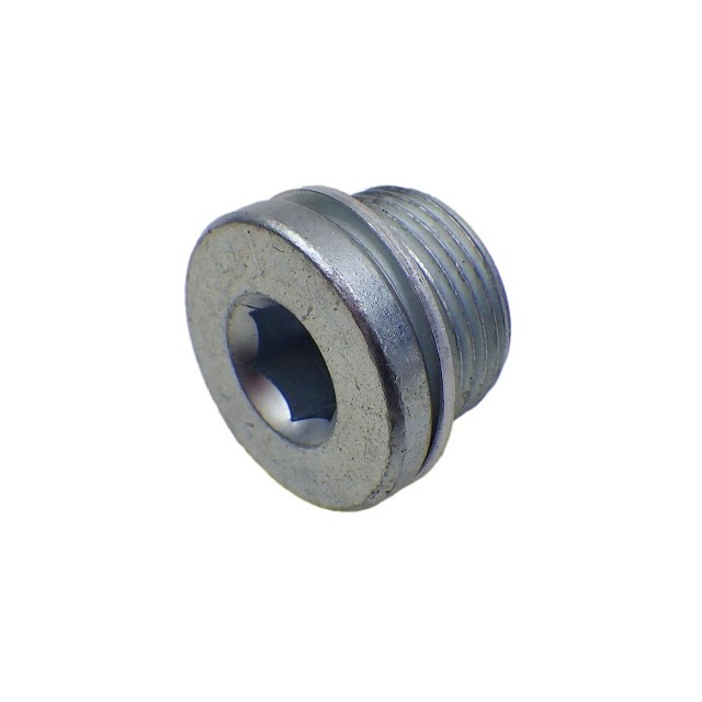 DUCATI 900MHR ケースカバープラグ M22 1.5mmピッチ ドレンボルト ドゥカティ 750ss 900ss リプロ品