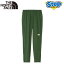 6000OFFݥ桪5/6 23:59ޤǡ Ρե ѥ ƥ ٥ȥ󥰥ѥ NB32385-PN THE NORTH FACE Swallowtail Vent Long Pant ڥ󥺡  ˥ 23FW ap-m-p rstnf