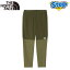 6000OFFݥ桪5/6 23:59ޤǡ Ρե ѥ ڥåեåѥ NB62382-NN THE NORTH FACE APEX Flex Pant ڥ󥺡  ɴ 23FW ap-m-p rstnf