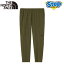  Ρե ѥ ե쥭֥ 󥯥 ѥ NBW42388-NT THE NORTH FACE Flexible Ankle Pant ڥǥ ˥ 23FW