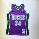 MN0MJT1C / Mitchell & Ness / MILWAUKEE BUCKS / ~EH[L[ obNX / RAY ALLEN / C A / NBA / XEBO}W[W