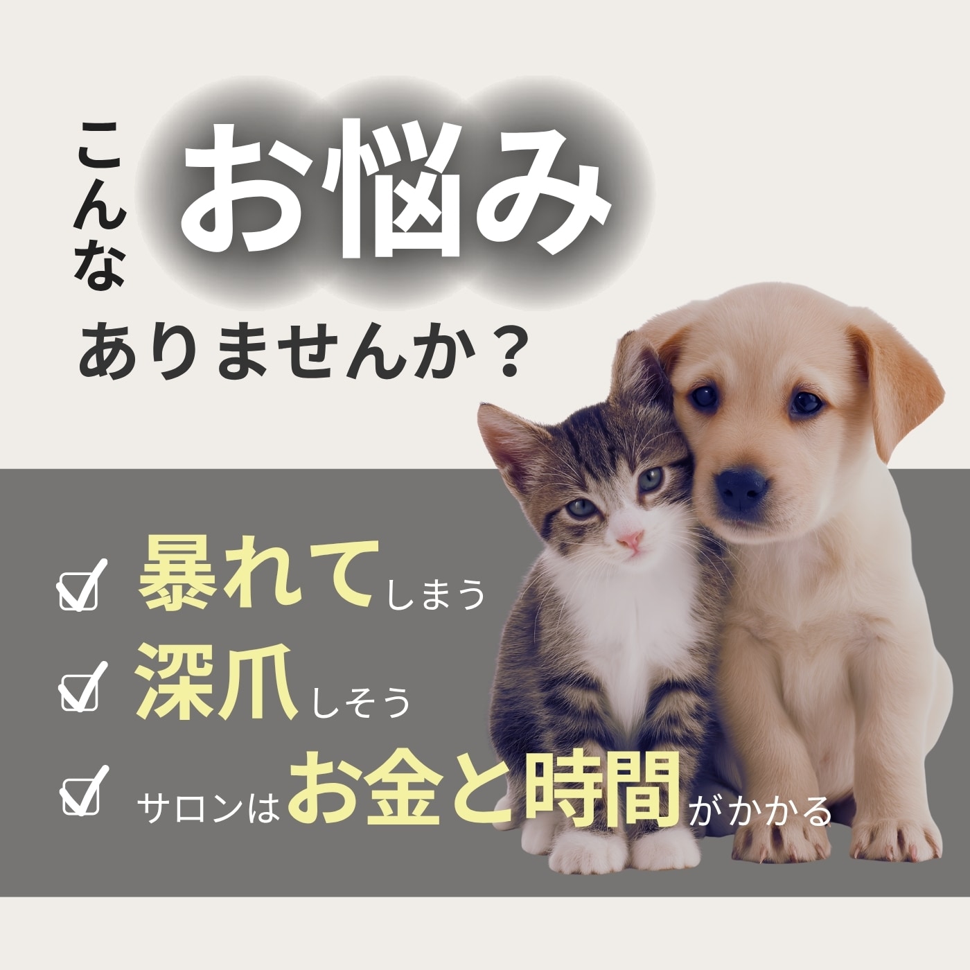 1000�ߥݥå��� ����̵�� �ڥå������ڤ� ���ڤ� �ͥ��륫�å��� ���� ǭ�� �ͥ��륯��åѡ� �������� �ڥå� �ͥ��륱�� �� �Ĥ� �ĥ� �Хͼ� �������� �޸� ������ �ڥå��ޤ䤹�� �ڥå��� �޳���佤 �ޤߤ���